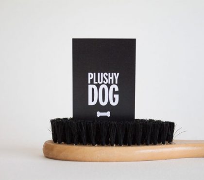 portfolio-thumbnail-6