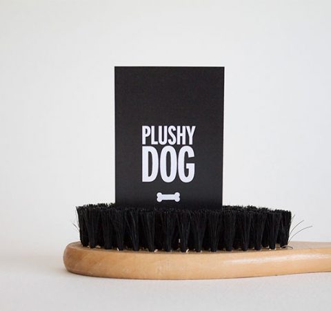 portfolio-thumbnail-6